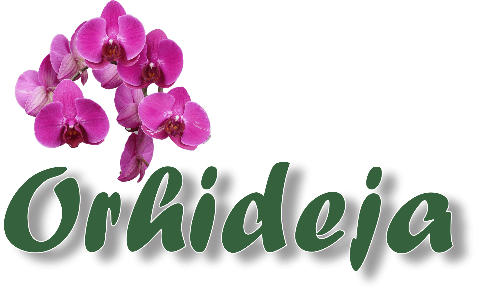 Cvecara Orhideja Valjevo